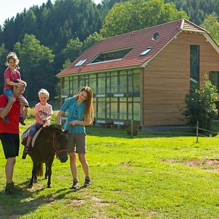 Landhotel Weihermuehle Thaleischweiler-Froschen Exterior photo